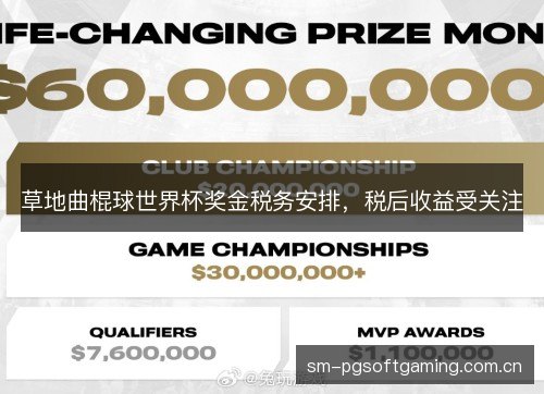 草地曲棍球世界杯奖金税务安排，税后收益受关注